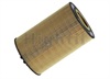 <b>INTERNATIONAL:</b> 2596171C91<br/><b>MAN:</b> 51.055.040.107<br/>
