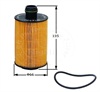 <b>GM:</b> 93745801<br/>