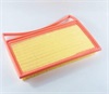 <b>:</b> 2010005DRS0100<br/>